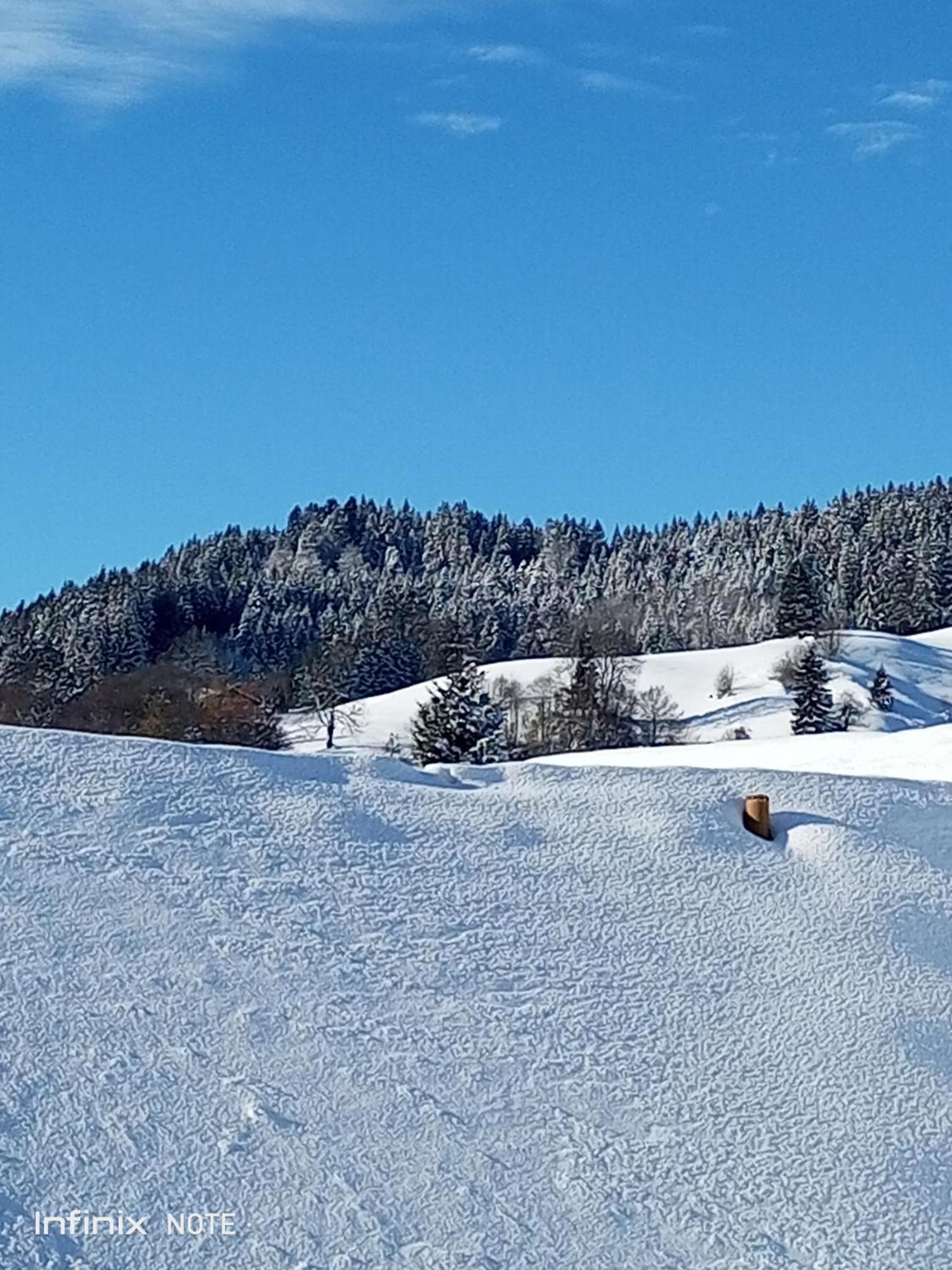 Allgaeu Vibes - Fusslaeufige Erreichbarkeit Vom Bahnhof, Mit Aussicht, Wettergeschuetzter Balkon Oberstaufen Exterior photo
